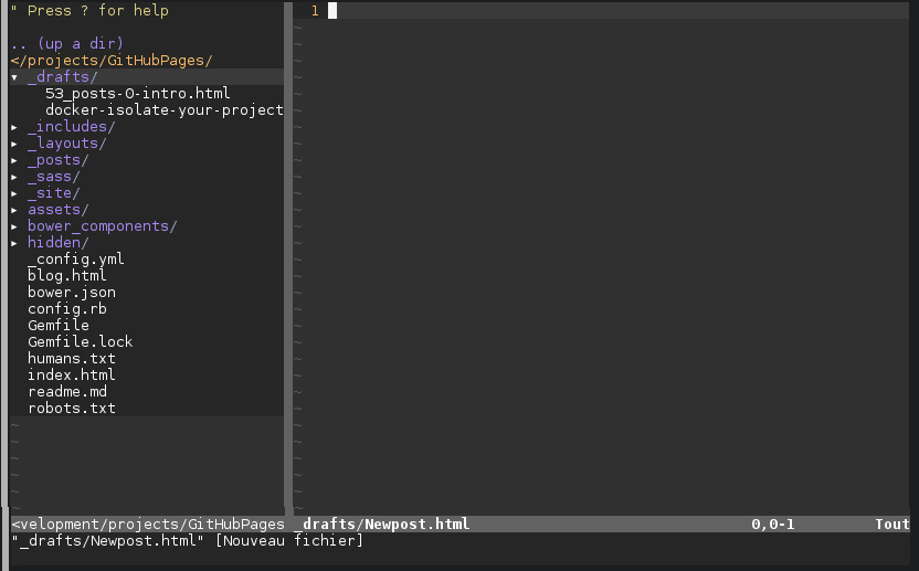 Fichier vide sous Vim